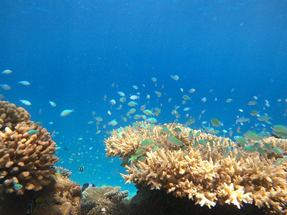 Crystal Sands Maafushi Luaran gambar