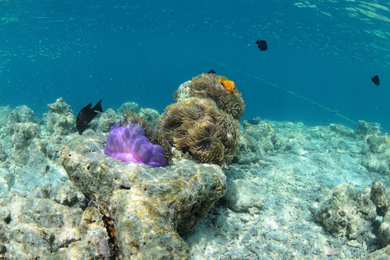 Crystal Sands Maafushi Luaran gambar